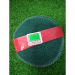 Esponja Con Jabon Grande.