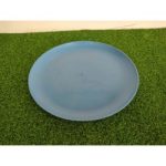 Plato Plastico Taquero.