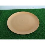 Plato Plastico Taquero.